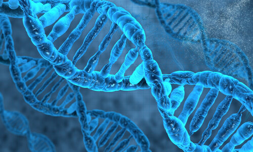 Nahaufnahme einer blauen DNA-Doppelhelix