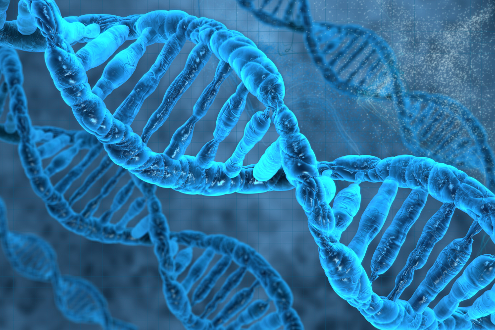 Mikroskopische Nahaufnahme einer blauen DNA-Doppelhelix. Das Bild ist in Blautönen gehalten.